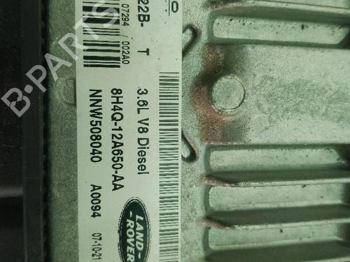 Elektronisk modul LAND ROVER RANGE ROVER SPORT I (L320) 3.6 D 4x4 | BP30844679M83