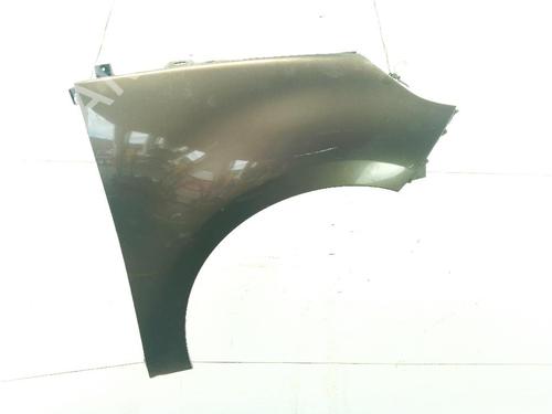 Used Right front fenders RENAULT SCÉNIC III (JZ0/1_) 1.5 dCi (106 hp) 28838923