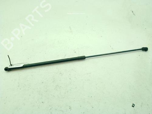 Hood lift support VW PASSAT B6 (3C2) 2.0 TDI 16V | BP28838952C139 