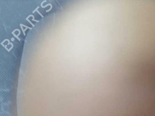 Left front steering knuckle NISSAN PATHFINDER III (R51) 2.5 dCi 4WD | BP31990300M25 