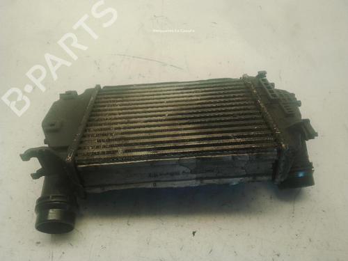 Intercooler NISSAN QASHQAI II (J11, J11_) 1.6 dCi ALL MODE 4x4-i | BP29765293M30 