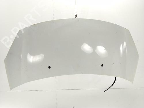 hood-citroen-c3-ii-sc_-2009-34506306 main image