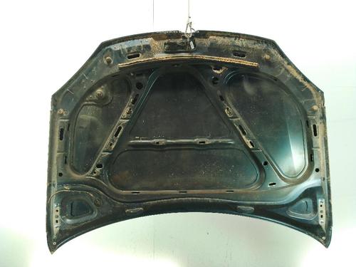 Hood VW GOLF V (1K1) 1.9 TDI | BP24862506C1 