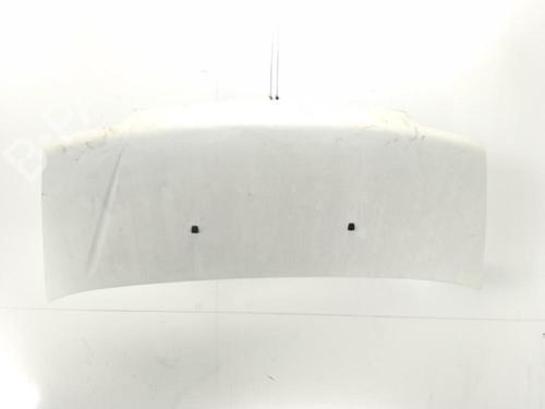 hood-peugeot-boxer-van-244-2001-33905429 main image