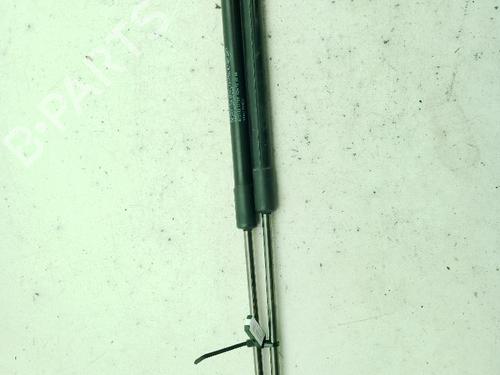 Tailgate lift support NISSAN QASHQAI +2 (JJ10E) 1.5 dCi | BP29203961C138 