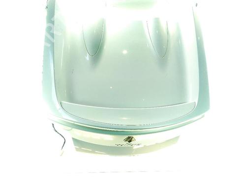 Used Tailgate RENAULT WIND (E4M_) 1.2 (E4MF) (101 hp) 30410633