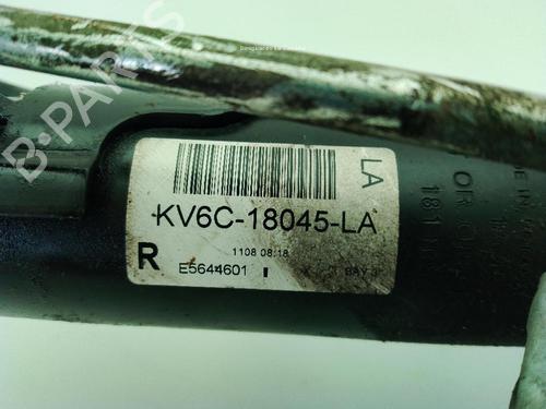 Right front shock absorber FORD TRANSIT CONNECT V408 Box Body/MPV 1.5 EcoBlue | BP31799197M17