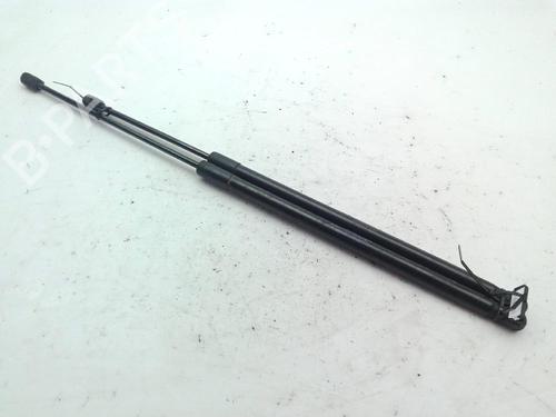 Used Hood lift support MERCEDES-BENZ C-CLASS (W204) C 200 CDI (204.001) (136 hp) 29554950