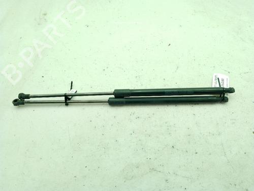 Tailgate lift support NISSAN QASHQAI +2 (JJ10E) 1.5 dCi | BP29203961C138 