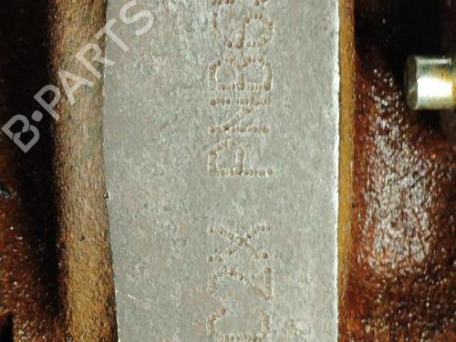 Engine FORD RANGER (TKE) 2.0 EcoBlue 4x4 | BP31915214M1