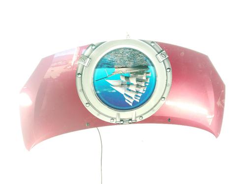 Used Hood RENAULT TWINGO II (CN0_) 1.2 16V (CN04, CN0B) (75 hp) 31328264