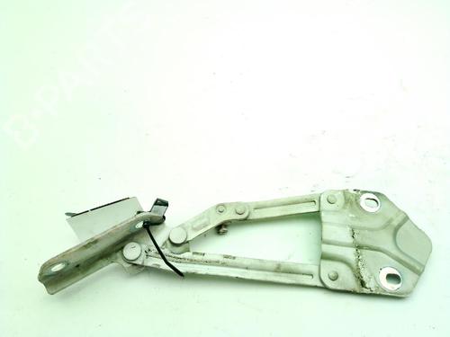 Used Hinge/Door check strap VW CADDY III Box Body/MPV (2KA, 2KH, 2CA, 2CH) 2.0 SDI (70 hp) 31966861