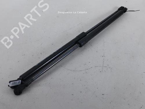tailgate-lift-support-renault-megane-iv-hatchback-b9amn_-2015-31989690 main image