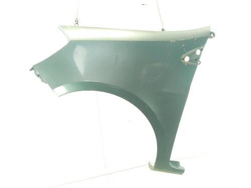 Used Left front fenders RENAULT CLIO III (BR0/1, CR0/1) 1.5 dCi (BR17, CR17) (86 hp) 29875822