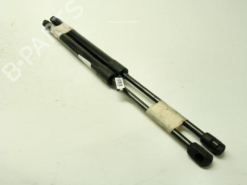 Tailgate lift support HYUNDAI SANTA FÉ III (DM, DMA) 2.0 CRDi | BP32402553C138