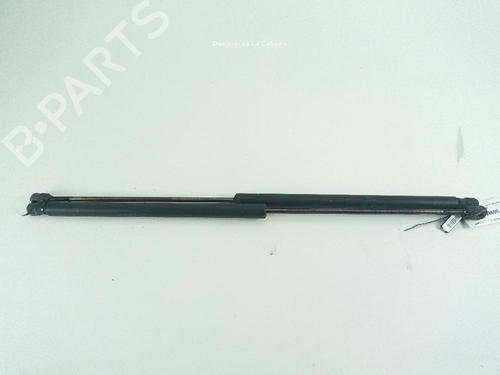 Used Tailgate lift support Tailgate lift support FORD KUGA I 2.0 TDCi (136 hp) 18366487 18366487