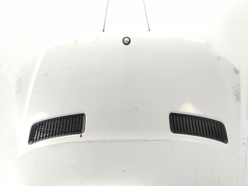 Used Hood Hood MERCEDES-BENZ SPRINTER 3-t Van (B906) 213 CDI (906.611, 906.613) (129 hp) 34003022 34003022