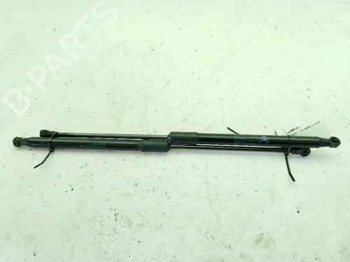 tailgate-lift-support-citroen-c3-iii-sx-2016-29269224 main image