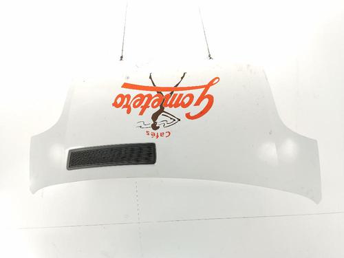 hood-renault-trafic-ii-van-fl-2001-33976100 main image