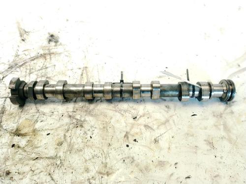 BP29554936O1 main image