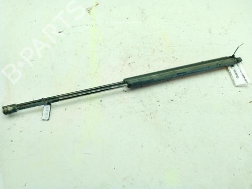 tailgate-lift-support-renault-koleos-i-hy_-2008-25734491 main image