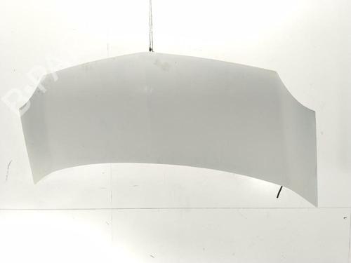 hood-renault-kangoo-express-fw01_-2008-38589519 main image