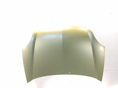 Used Hood Hood RENAULT KANGOO (KC0/1_) 1.5 dCi (68 hp) 40523763 40523763