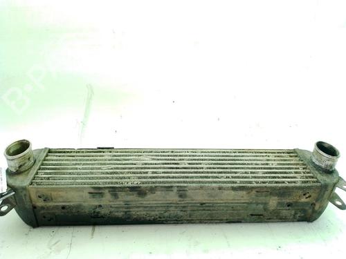 Intercooler LAND ROVER RANGE ROVER SPORT I (L320) 2.7 D 4x4 | BP30191630M30