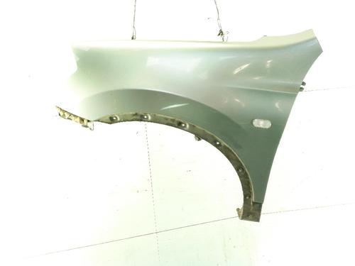 Used Left front fenders NISSAN QASHQAI I (J10, NJ10) 2.0 All-wheel Drive (141 hp) 29605924