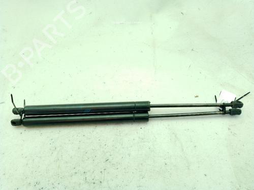 Tailgate lift support VW SHARAN (7M8, 7M9, 7M6) 1.9 TDI | BP29328994C138 