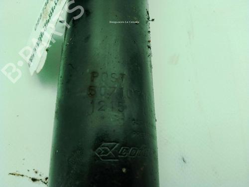 Right rear shock absorber FIAT DUCATO Van (250_) 130 Multijet 2,3 D | BP30871533M19