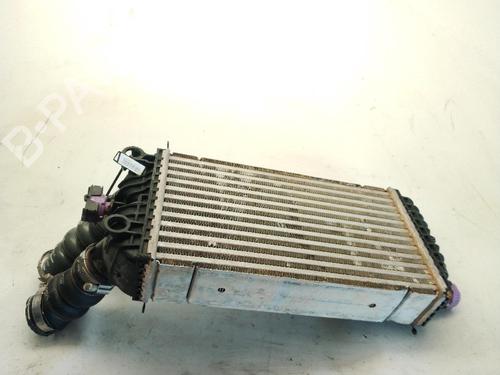 Intercooler PEUGEOT 208 II (UB_, UP_, UW_, UJ_) 1.5 BlueHDI 100 | BP27513821M30 