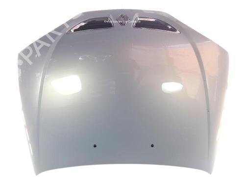 Used Hood RENAULT MEGANE I (BA0/1_) 1.4 16V (BA0D, BA1H, BA0W, BA10) (95 hp) 24000518