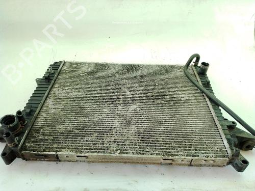 Used Water radiator LAND ROVER RANGE ROVER SPORT I (L320) 2.7 D 4x4 (190 hp) 30191737