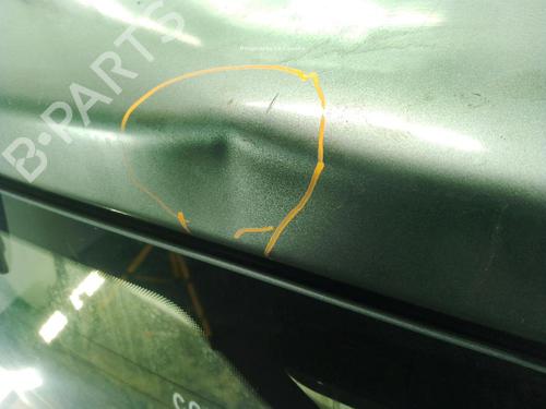 Tailgate NISSAN PATHFINDER III (R51) 2.5 dCi 4WD | BP30771676C6