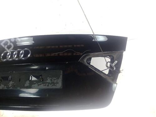 Tailgate AUDI A5 (8T3) S5 quattro | BP18376010C6 