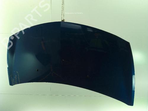 Used Hood RENAULT CLIO III Grandtour (KR0/1_) 1.5 dCi (88 hp) 24545414