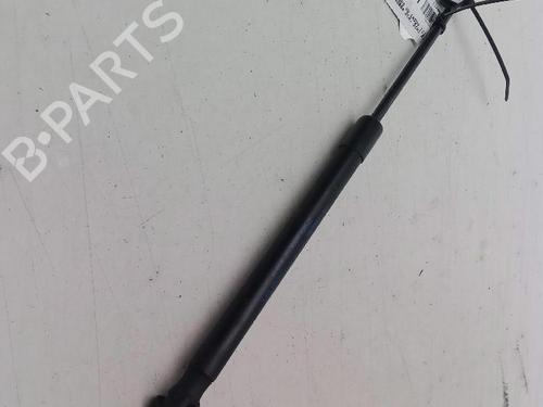 Used Hood lift support VW CADDY III Box Body/MPV (2KA, 2KH, 2CA, 2CH) 2.0 TDI (140 hp) 30339097