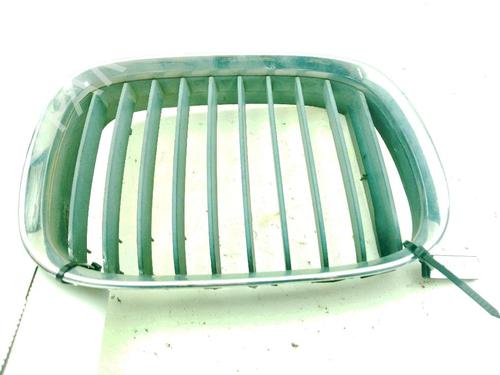 Used Grille BMW 5 (E39) 520 i (150 hp) 25046309