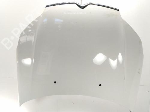 hood-citroen-c5-iii-rd_-2008-2009-2010-2011-2012-2013-2014-2015-2016-2017-36069860 main image