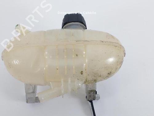 Expansion tank RENAULT TRAFIC III Van (FG_) 1.6 dCi 90 (FGME) | BP24156509C120 