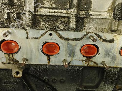 Engine SEAT LEON (1M1) 1.6 16 V | BP18361890M1  - Image 5