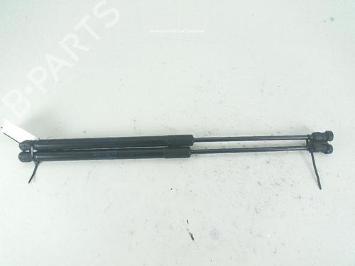 Tailgate lift support AUDI A1 (8X1, 8XK) 1.4 TFSI | BP18372776C138 