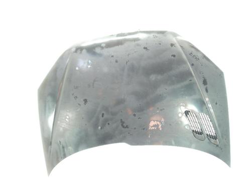 Used Hood PEUGEOT 206 Hatchback (2A/C) 2.0 HDI 90 (90 hp) 25909683