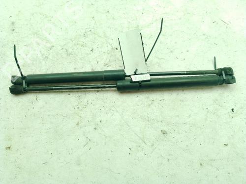 hood-lift-support-renault-kangoo-express-fw01_-2008-27994688 main image