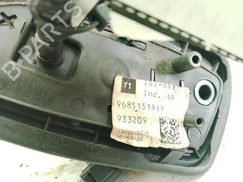 Left mirror CITROËN C4 Picasso I MPV (UD_) 2.0 HDi 138 | BP24545095C26 