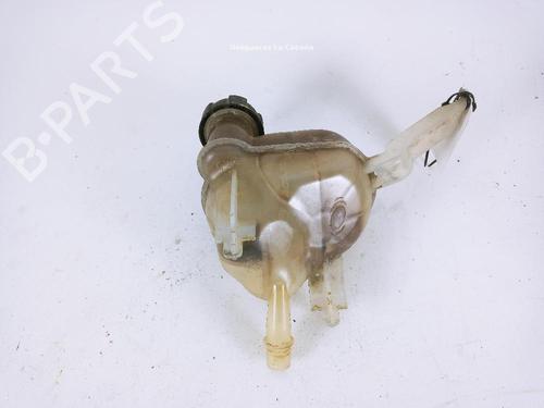 Expansion tank PEUGEOT 508 I (8D_) 1.6 BlueHDi 120 | BP24041716C120 