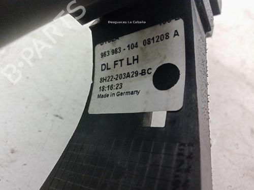 Front left exterior door handle LAND ROVER DISCOVERY III (L319) 2.7 TD 4x4 | BP29765481C128