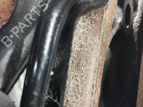 Engine SEAT LEON (1M1)  | BP34535272M1  - Image 7