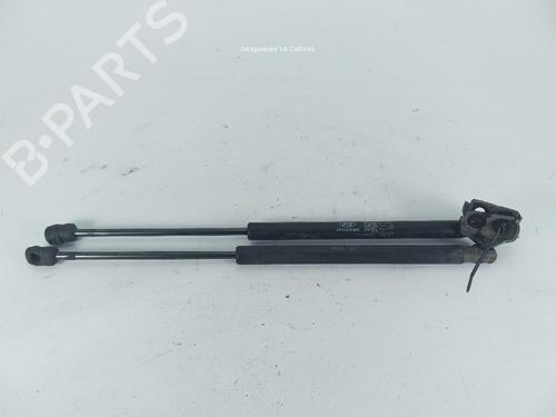 hood-lift-support-hyundai-ix55-2006-2007-2008-2009-2010-2011-2012-2013-2014-24042675 main image